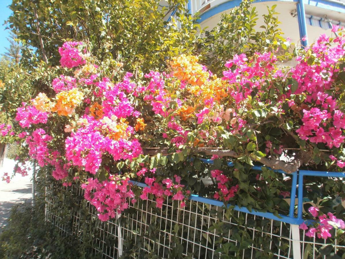 Seaview Self Catering Apartment - Helen No 1 Xiropigado Bagian luar foto